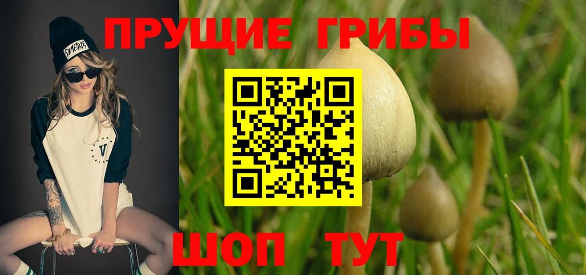 Псилоцибиновые грибы ЛСД Луховицы